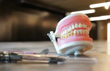 Prática clínica na odontologia: imagem mostra uma peça anatômica de boca, com todos os dentes e instrumentos odontológicos