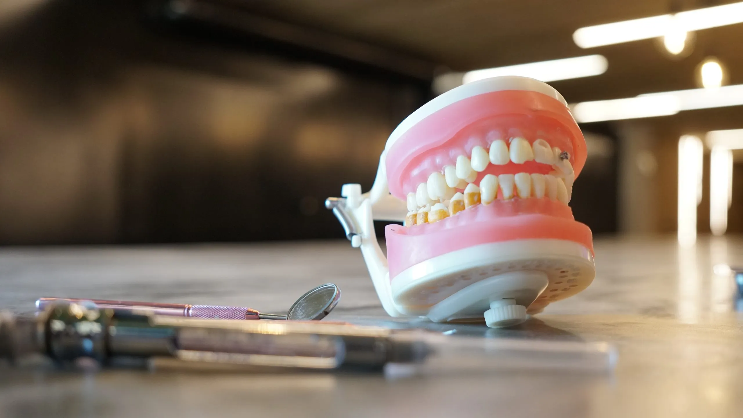 Prática clínica na odontologia: imagem mostra uma peça anatômica de boca, com todos os dentes e instrumentos odontológicos